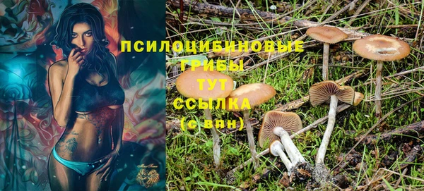 соль курить ск Верхний Тагил