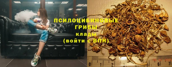соль курить ск Верхний Тагил