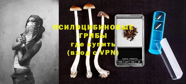 ГАЛЛЮЦИНОГЕННЫЕ ГРИБЫ Верхнеуральск