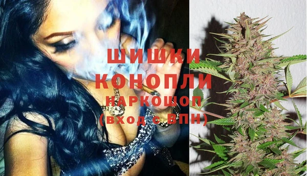 гидропоника Верея