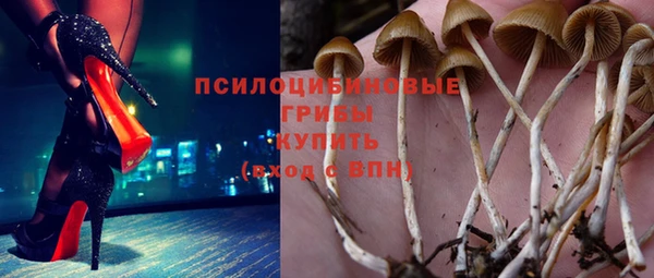 ГАЛЛЮЦИНОГЕННЫЕ ГРИБЫ Верхнеуральск