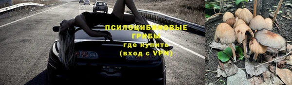 гидропоника Верея