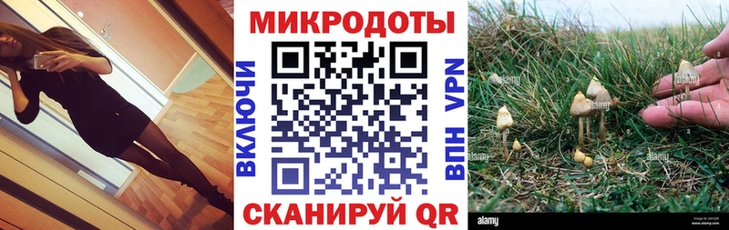 Псилоцибиновые грибы ЛСД  Купить где  Нолинск 