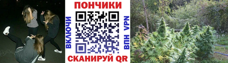 Купить  Нолинск  Бошки Шишки LSD WEED 